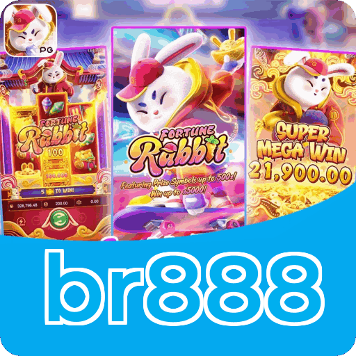 Interface br888